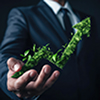 Sustainable Growth